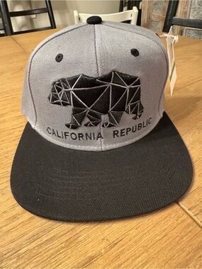 Ring of Fire Grey & Black Ca Republic Snapback Hat NWT